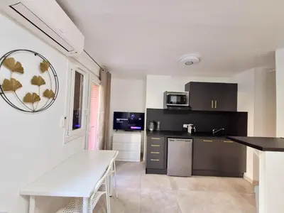 a kitchen with black cabinets and a white counter top at appartement 2 pégurier in Nice