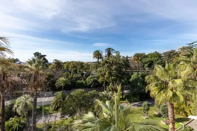 an aerial view of a park with palm trees at Happyfew appartement les palmiers in Nice