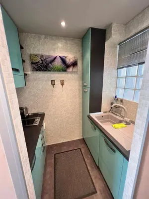 a small kitchen with green cabinets and a sink at Studio at the heart of Carre D'or 2 mins Sea Wi-fi in Nice