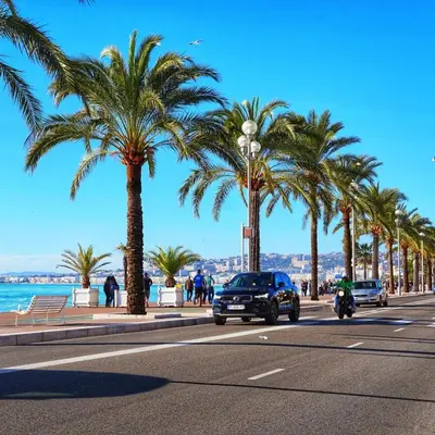 a car driving down a street with palm trees at Nice modern flat in Nice