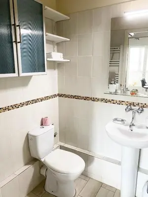 a bathroom with a toilet and a sink at Bel Appartement 2 pièces - 10min de la mer in Nice