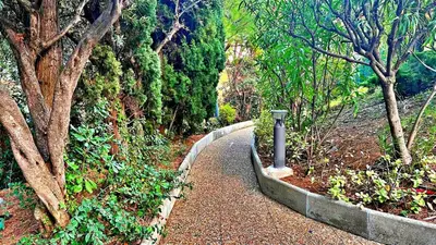 a path in the middle of a forest with trees at Le Ciel in Nice