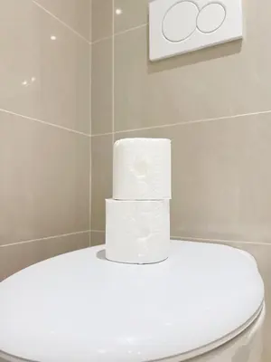 a stack of toilet paper sitting on top of a toilet seat at La Bella Niçoise in Nice