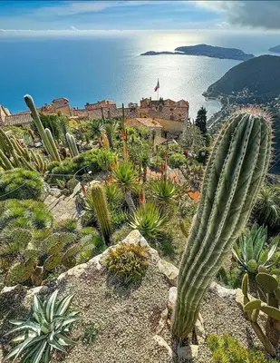 a group of cacti on a hill next to the ocean at Appartement entre Monaco et Nice Calme et tout équipé in Èze
