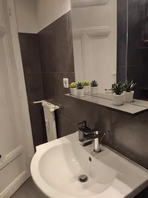 a bathroom with a sink with potted plants on a shelf at Studio ideally located Nice City Center in Nice
