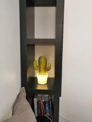 a small cactus in a black book shelf at Unique havre de paix in Nice