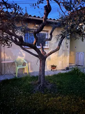 a tree in front of a house with a chair at Loft 43 in La Trinité