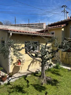 a small tree in front of a house at Loft 43 in La Trinité