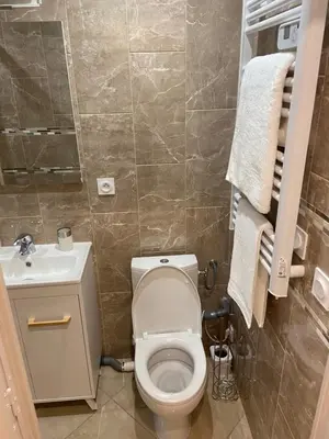 a small bathroom with a toilet and a sink at Appartement T3 dans une villa au calme in Drap