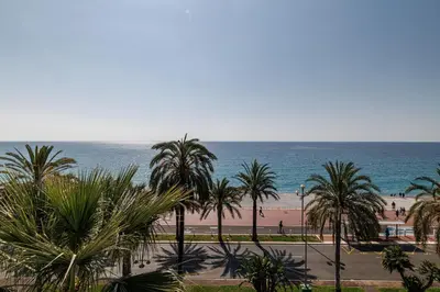 a view of a beach with palm trees and the ocean at Sea View - Lovely Studio Promenade des Anglais in Nice