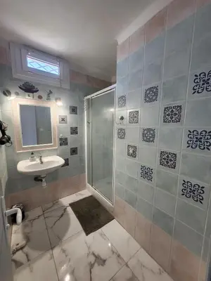 a bathroom with a shower and a sink at Spacieux 3 chambres et balcon in Nice