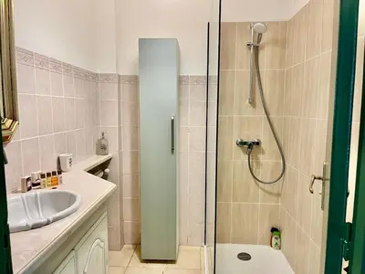 a bathroom with a shower and a sink at Les Bleuets in Cagnes-sur-Mer