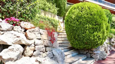 a stone wall and stairs with bushes and flowers at Les Jardins de Villefranche in Villefranche-sur-Mer
