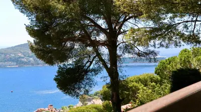 a tree on a hill with a view of the water at Les Jardins de Villefranche in Villefranche-sur-Mer