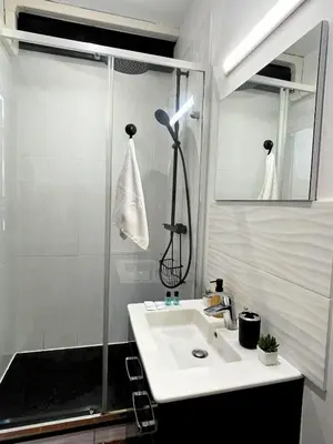 a bathroom with a shower and a white sink at Central Super Loft in Nice