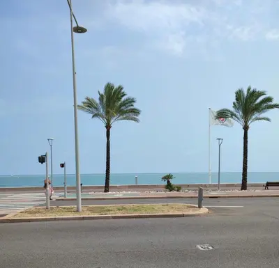 an empty street with palm trees and the ocean at Studio 100m plage in Cagnes-sur-Mer