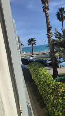 a view of the beach and palm trees from a building at Cozy studio sur la promenade in Nice