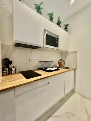 a kitchen with white cabinets and potted plants on the counter at Charming Studio in the Heart of Nice in Nice