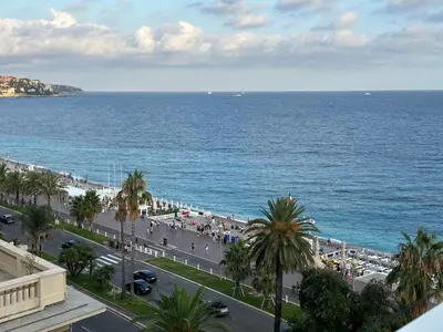 a view of the ocean and a street with palm trees at Studio et ses deux piscines in Nice