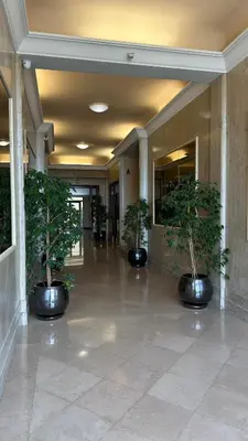a hallway with three potted plants in a building at Carre d Or Face a la Mer in Nice