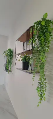two plants in pots on a shelf on a wall at Nice, vue mer et panoramique in Nice