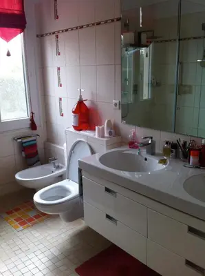 a bathroom with a toilet and a sink and a mirror at Beautiful Villa with large pool and garden 20 mn from Nice in Colomars