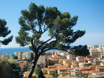 a tree in front of a city at Studio Premium au Calme avec Terrasse Vue Mer et Parking in Nice