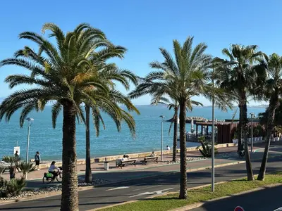 a row of palm trees on a street next to the ocean at Panoramic Sea View Studio in Cagnes-sur-Mer