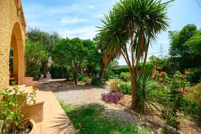 a garden with a palm tree and some flowers at Villa Mi Rancho Vue mer - Jardin - Plage et resto à 5 min in Villefranche-sur-Mer