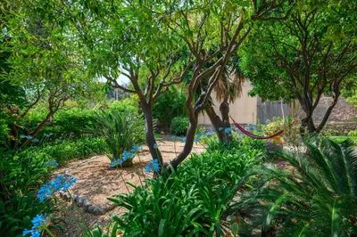 a garden with blue flowers and trees at Villa Mi Rancho Vue mer - Jardin - Plage et resto à 5 min in Villefranche-sur-Mer
