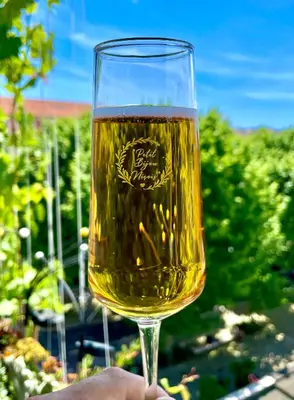 a person holding up a glass of wine at Petit Bijou niçois in Nice