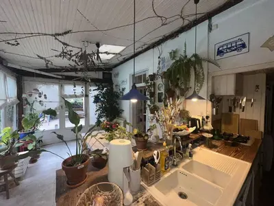 a kitchen with a sink and lots of potted plants at Nice Signature Baracca in Nice