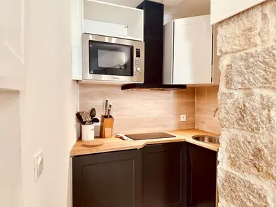 a kitchen with a sink and a microwave at AA G Cocon Lamartine - City center in Nice
