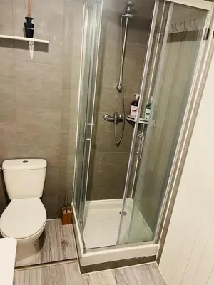 a bathroom with a shower and a toilet at Fully-equipped 2-bedroom apartment in Nice