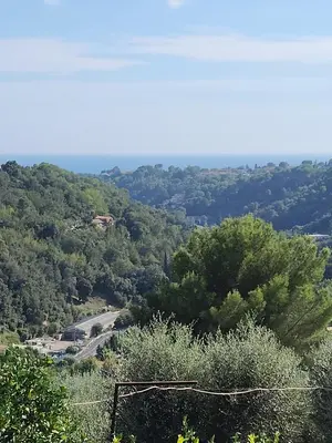 a view of a valley with trees and a road at Superbe appartement vue mer in Cagnes-sur-Mer