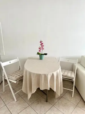 a table with a plant on it with two chairs at Studio Riviera - balcon et Wifi in Nice