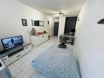 a living room with a tv and a rug at Magnan et ses plages de la Promenade des Anglais in Nice