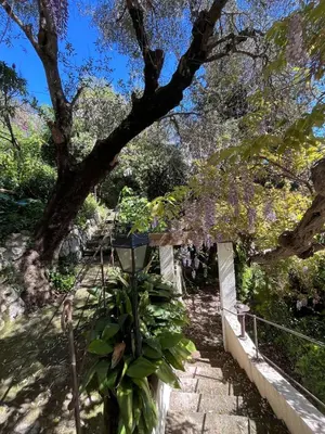 a walkway in a park with a tree at Seaside Jungle Retreat in Nice