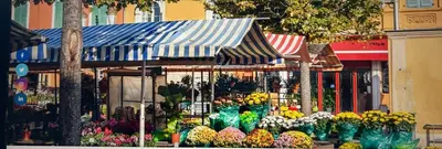 a flower shop with a bunch of vases of flowers at A Studio at Nice Beach in Nice