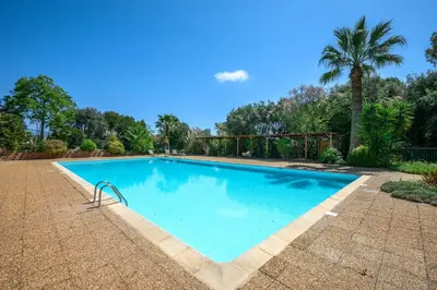 a swimming pool in a resort with a palm tree at Nice Fabron, terrasse & piscine dans résidence in Nice
