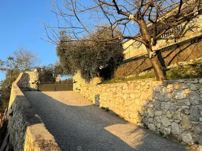a stone wall with a tree on top of it at Maison Familiale 3 chambres Cœur de la Nature in Drap