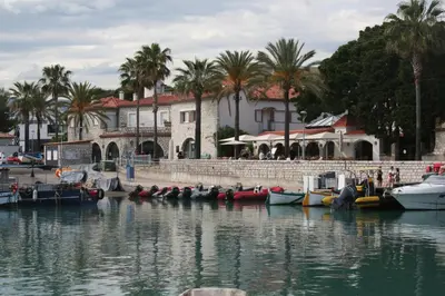 a group of boats docked in a harbor with palm trees at Rez de jardin en bord de mer in Cagnes-sur-Mer