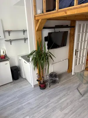 a living room with a potted plant and a tv at Joli studio cœur de Nice in Nice