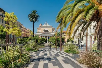 a street with palm trees in front of a building at 