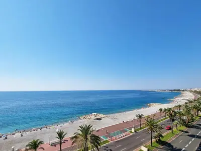 a view of a beach with palm trees and the ocean at 