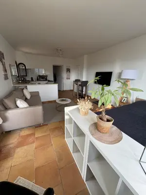 a living room with a couch and a table with a plant at Maison Lou in Falicon
