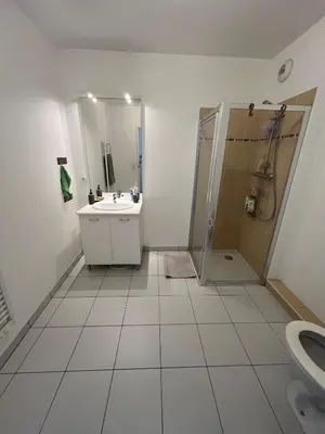 a bathroom with a sink and a shower and a toilet at Nice 2P quiet, tram, convenient in Nice