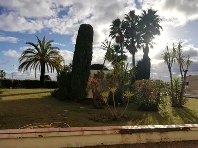 a garden with trees and plants in a yard at Studio calme proximité plage in Saint-Laurent-du-Var