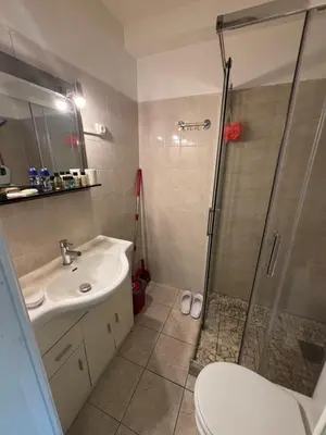 a bathroom with a shower and a sink and a toilet at Cœur de Nice - Plage à 5min in Nice