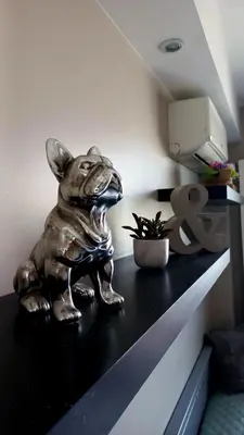 a statue of a dog sitting on top of a counter at Nice flat near sea and center in Nice